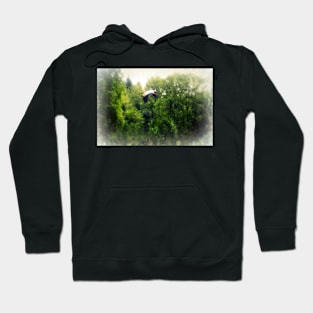 Great Blue Heron Flying Past the Trees Above Trojan Pond Hoodie